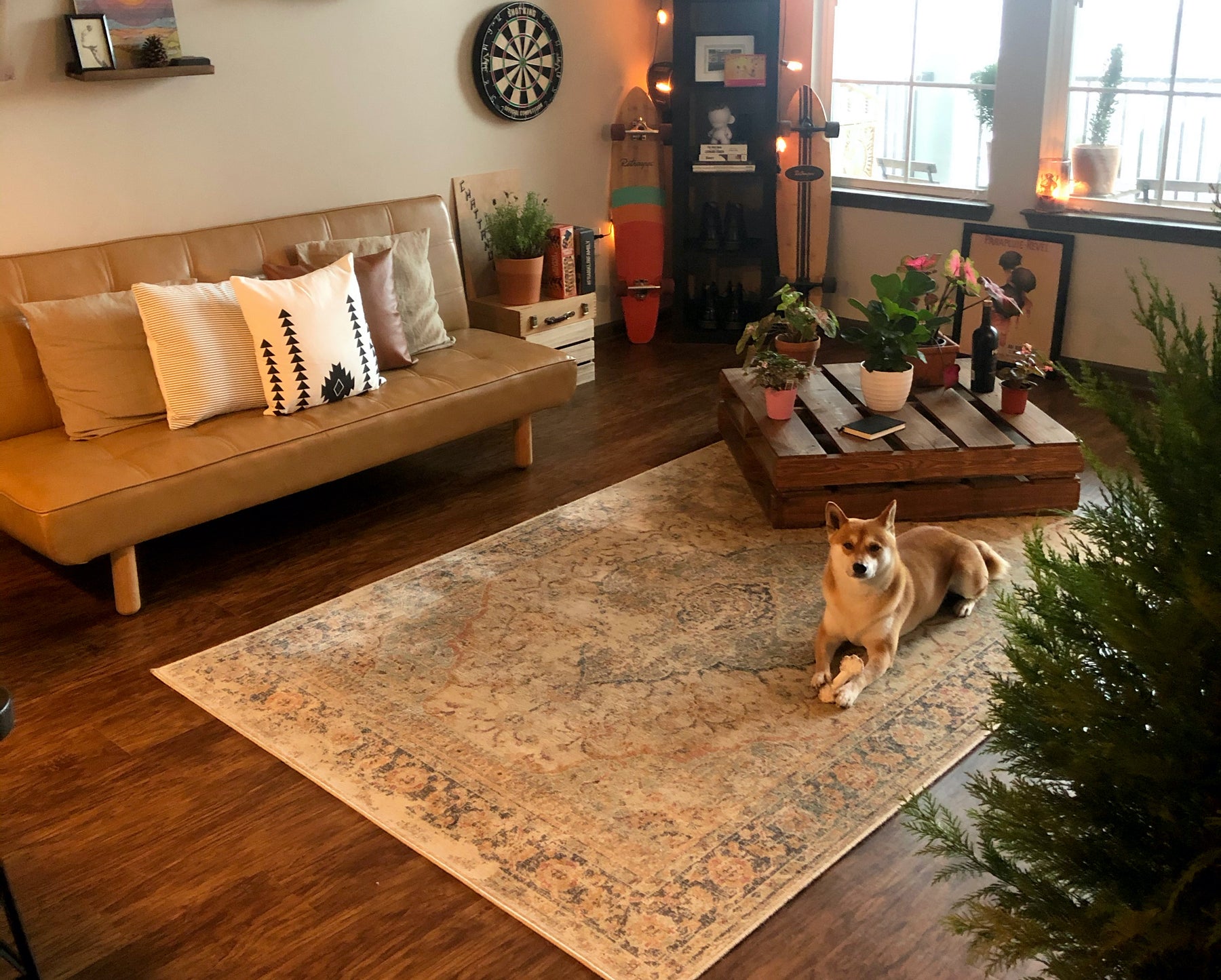 6 Tricks to Find the Perfect Rug for Your Pet